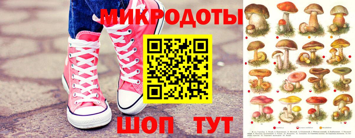 Псилоцибиновые грибы Cubensis Балтийск